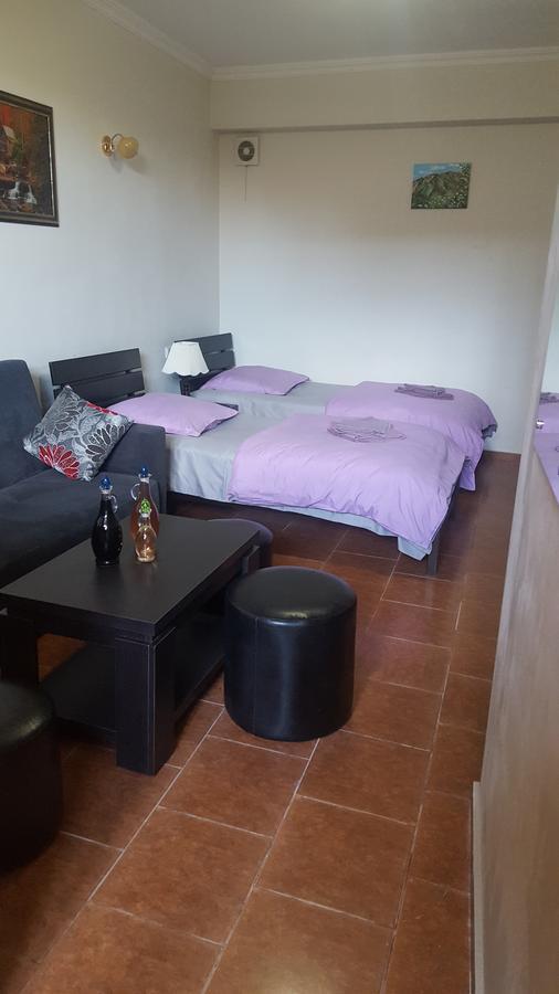 Vazi Apartment Tbilisi Ngoại thất bức ảnh